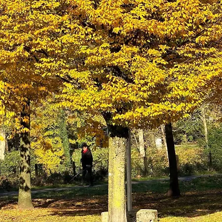 House Regatta Apartment