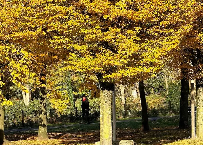 House Regatta 公寓